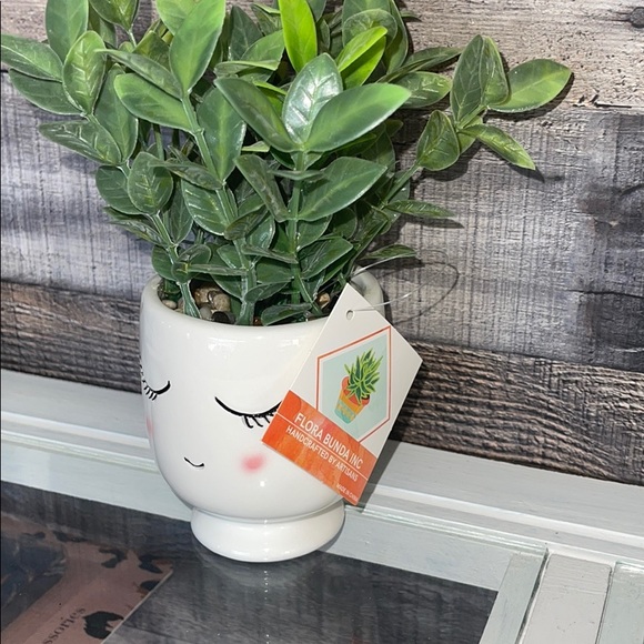 ❤️NEW!!!❤️ Home Decor Succulent Planters. - Picture 5 of 6